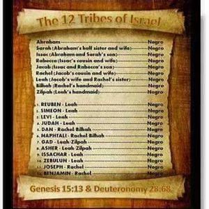 Meet your Posher, Yahko